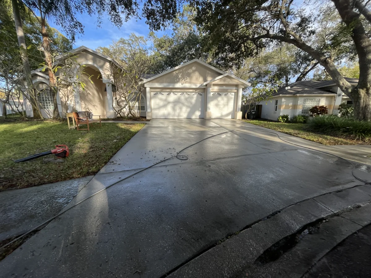 Freshly cleaned residential driveway in a Tampa Bay neighborhood